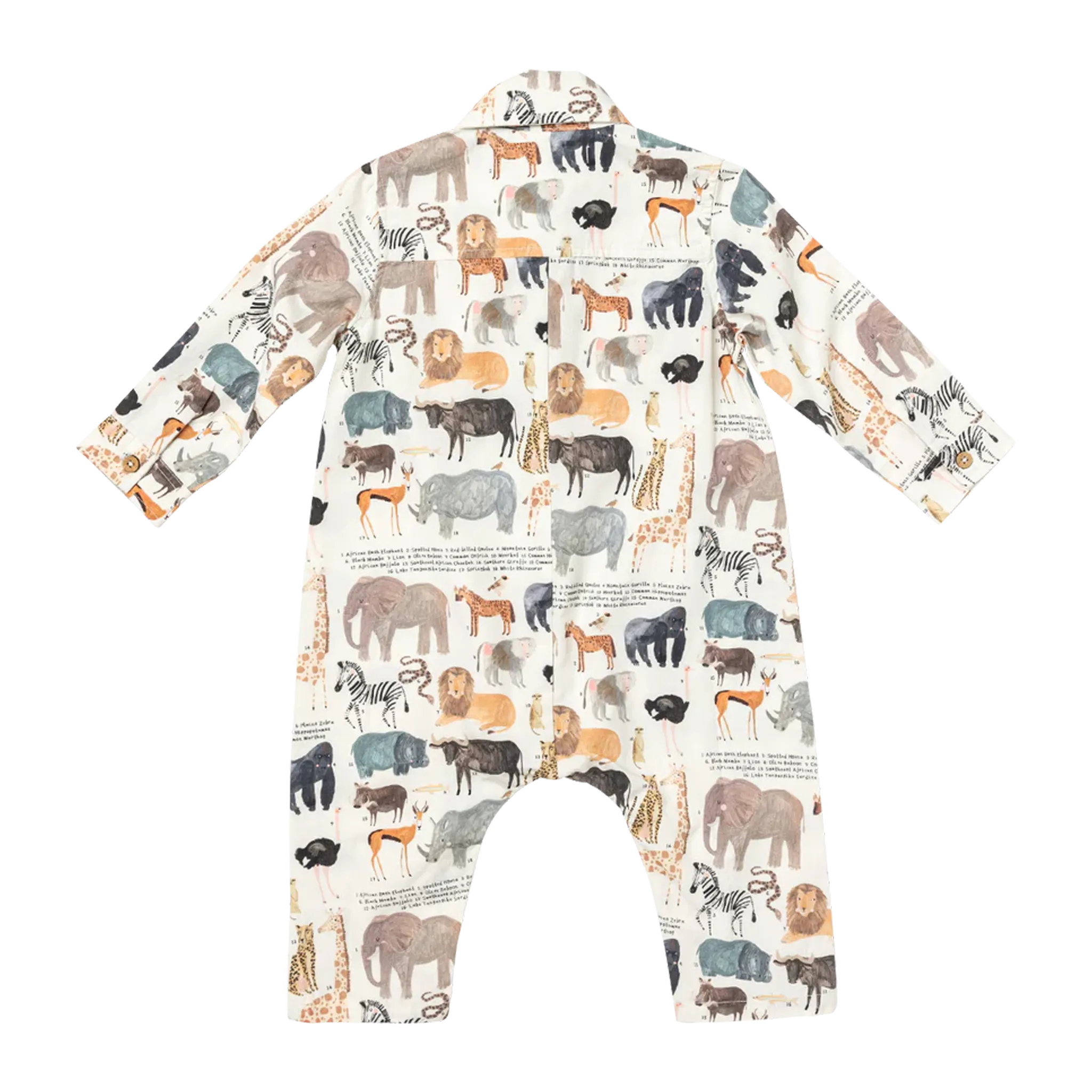 Baby Boys Easton Jumper