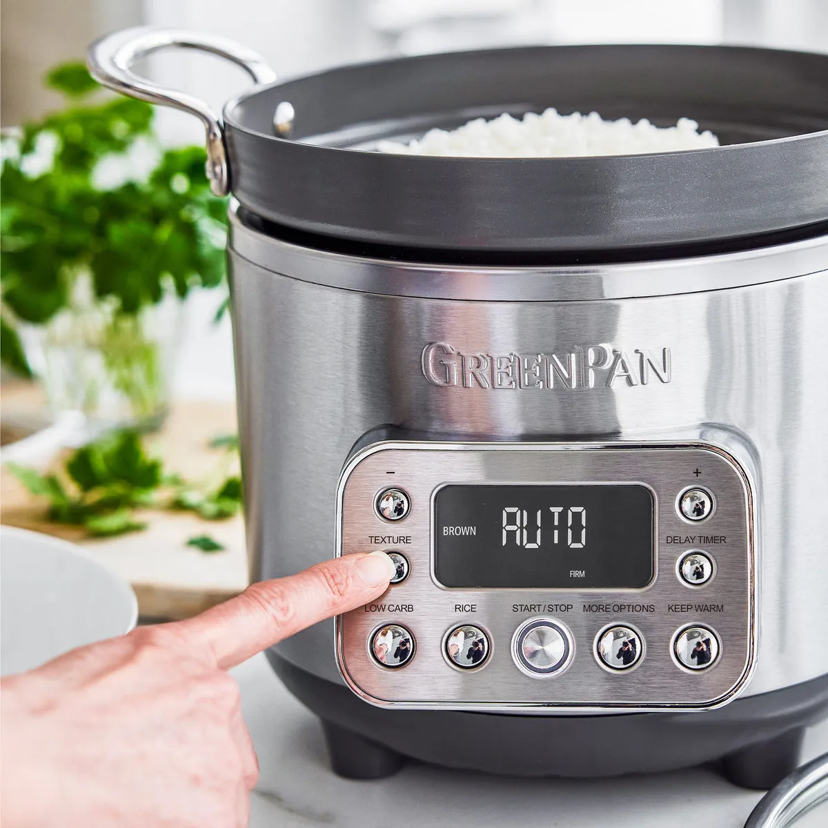 Elite 10-Cup Rice & Grains Cooker | Premiere Stainless Steel