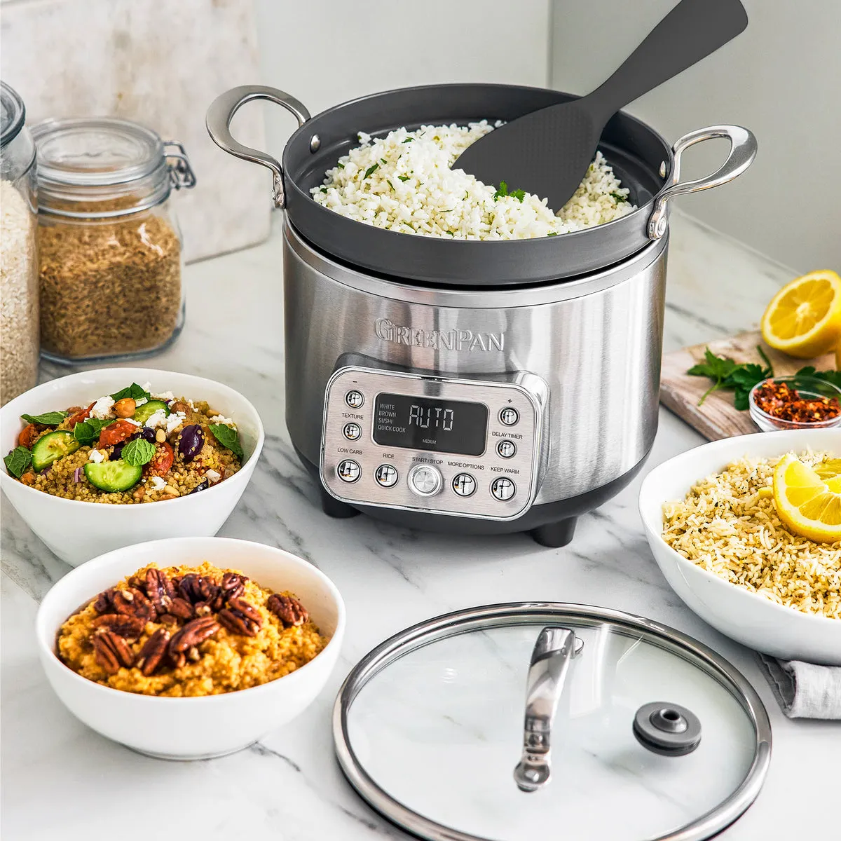 Elite 10-Cup Rice & Grains Cooker | Premiere Stainless Steel