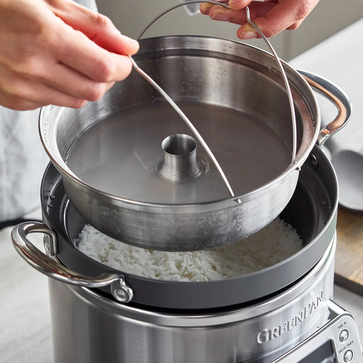 Elite 10-Cup Rice & Grains Cooker | Premiere Stainless Steel